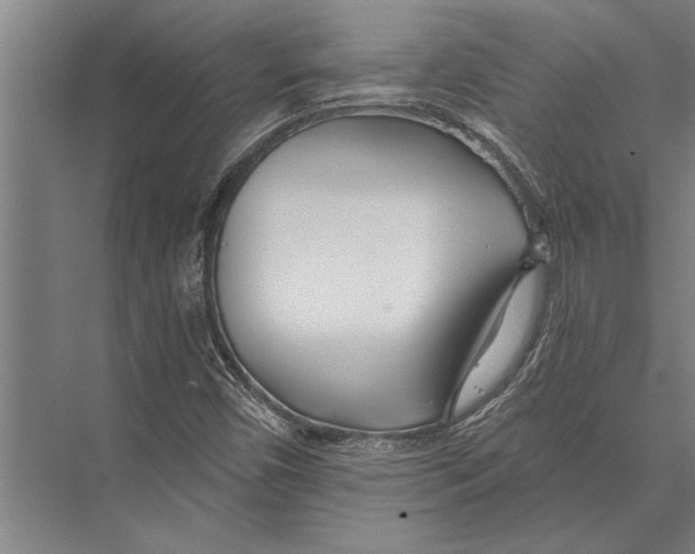 X0000075401450200610061918