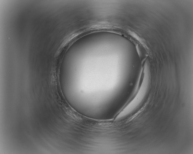 X0000075401453200610061918