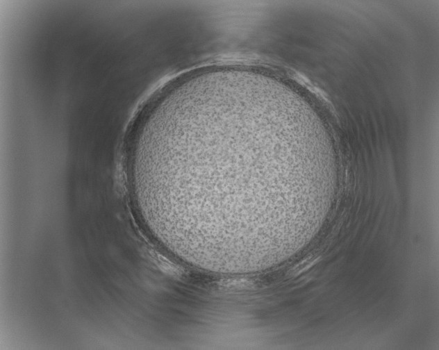 X0000075401454200610061918