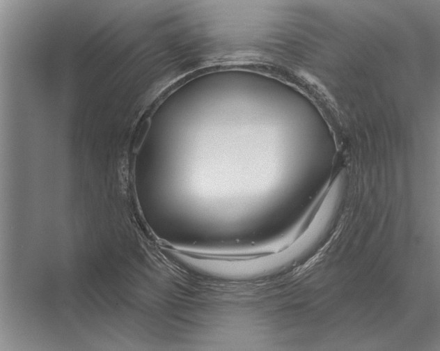 X0000075401457200610061918