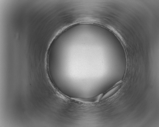 X0000075401477200610061918