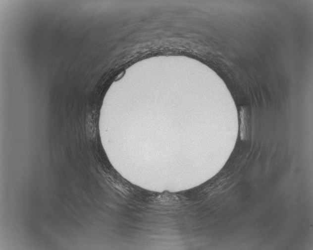 X0000075401491200610061917