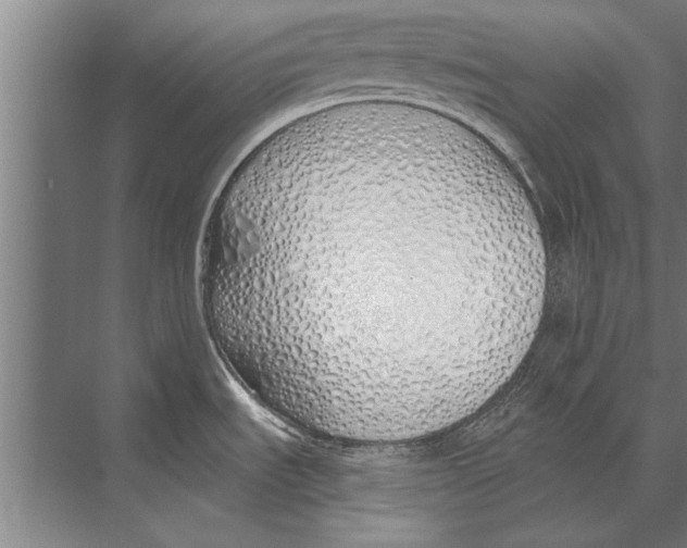 X0000075401535200610061918