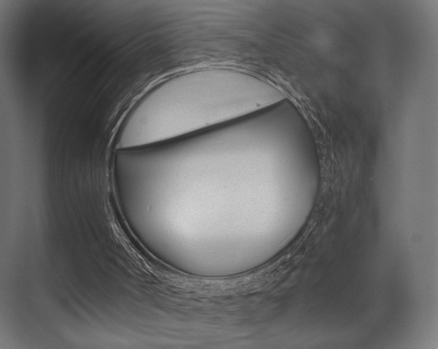 X0000075410002200609081014