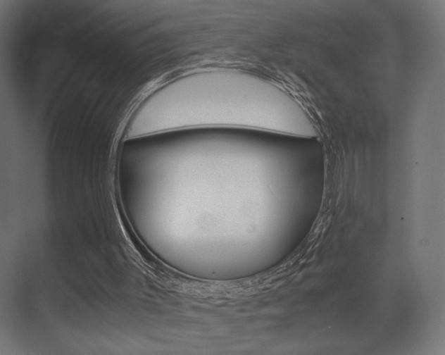 X0000075410003200609081014