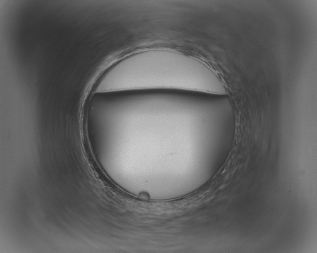 X0000075410006200609081014
