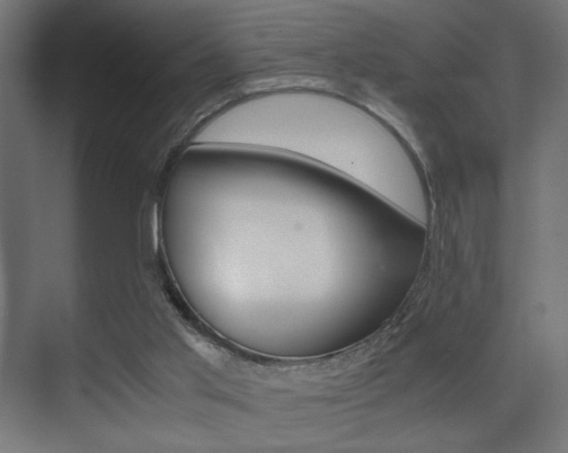 X0000075410013200609081013