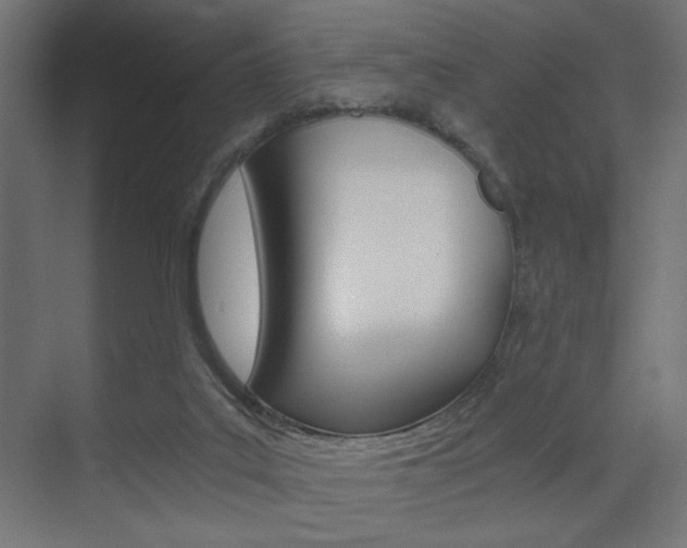 X0000075410019200609081013