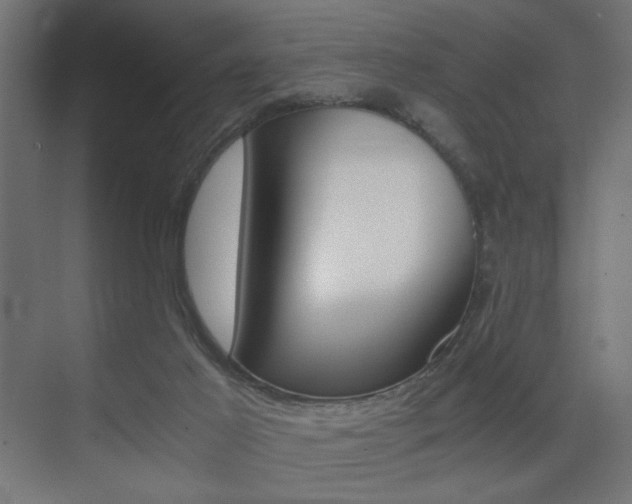 X0000075410021200609081013