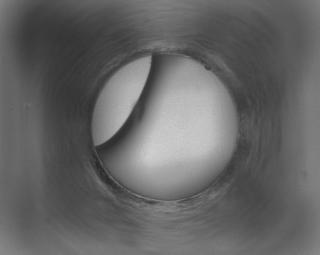 X0000075410024200609081013