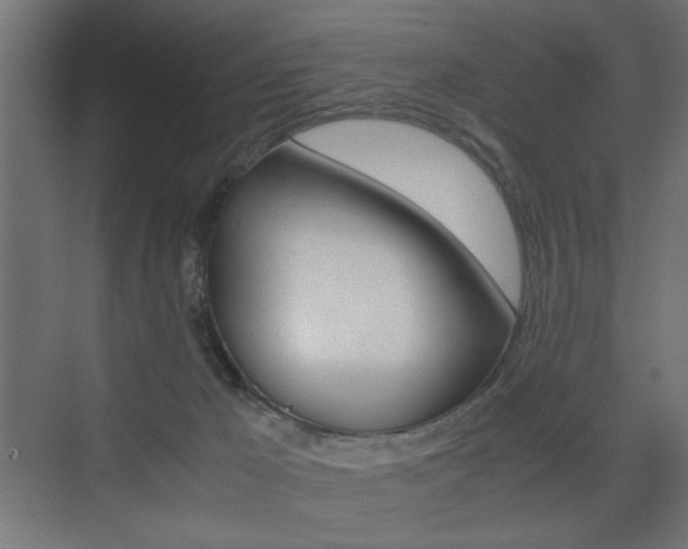 X0000075410029200609081013