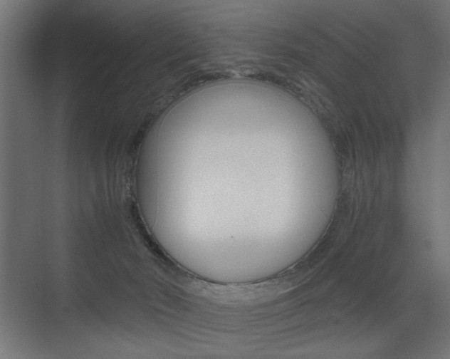 X0000075410030200609081013