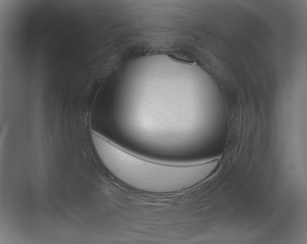 X0000075410033200609081013