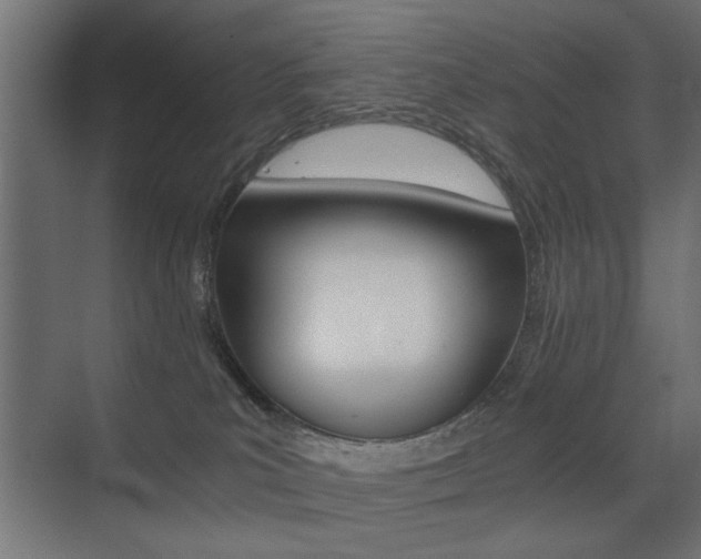 X0000075410039200609081013