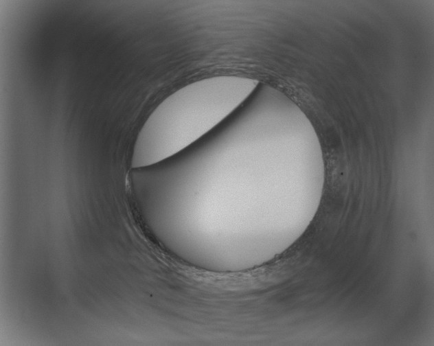 X0000075410042200609081013