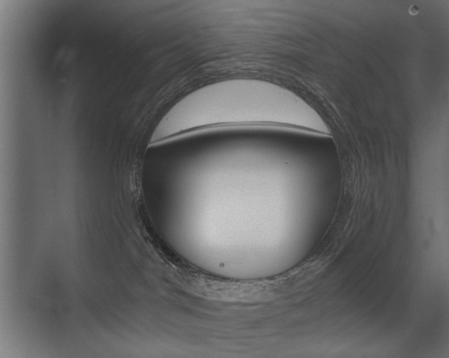 X0000075410044200609081013
