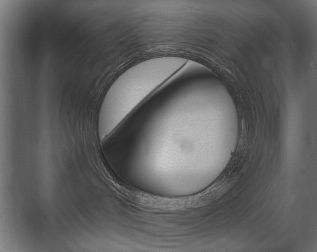 X0000075410048200609081013