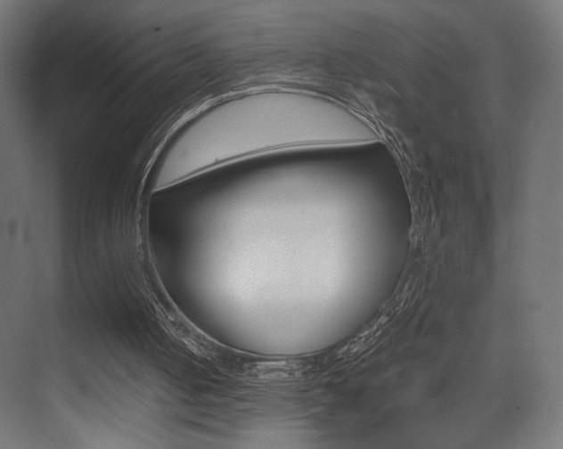 X0000075410050200609081012