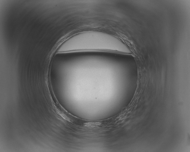X0000075410051200609081012