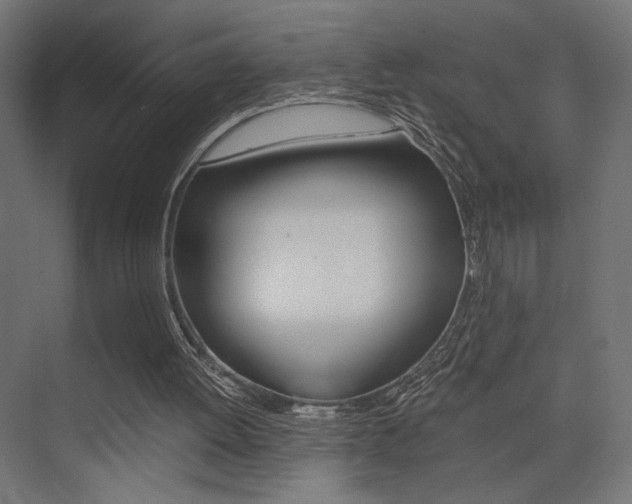 X0000075410052200609081012