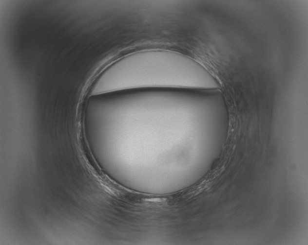 X0000075410053200609081012