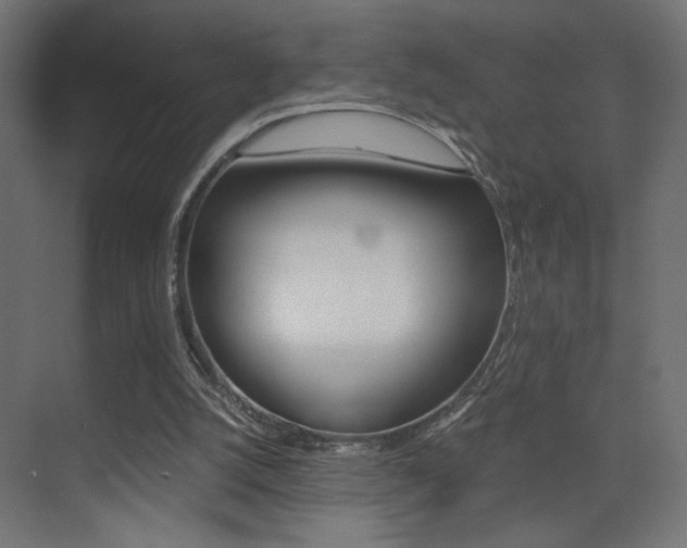 X0000075410056200609081012