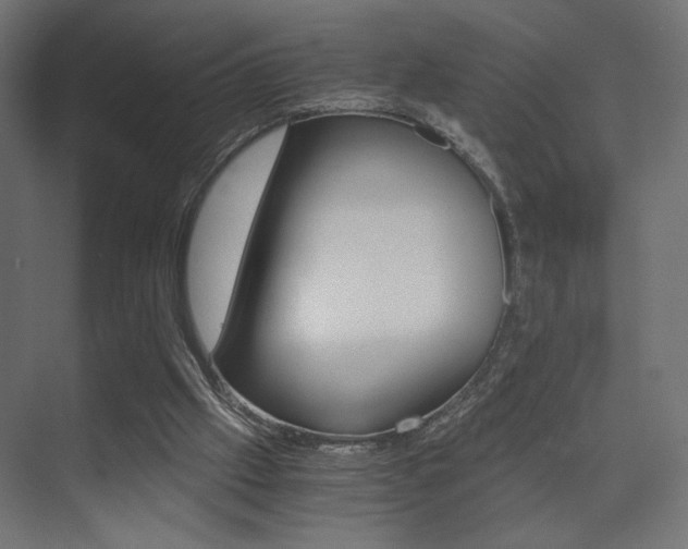 X0000075410057200609081012
