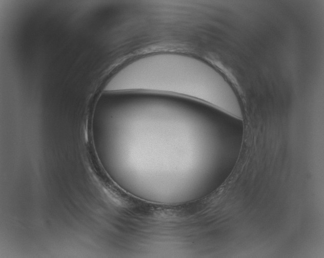X0000075410062200609081012