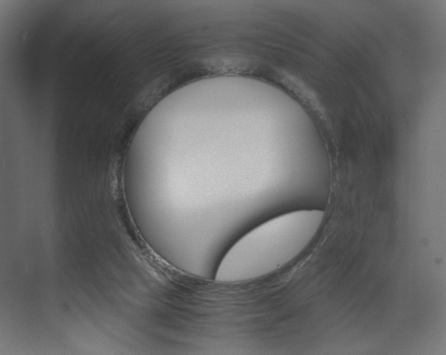 X0000075410065200609081012