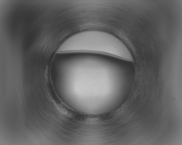X0000075410066200609081012
