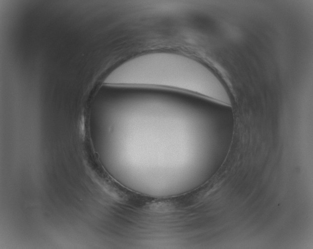 X0000075410067200609081012