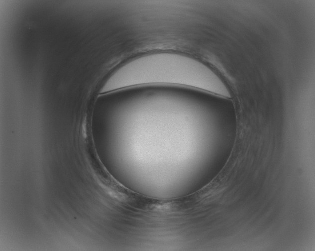 X0000075410068200609081012