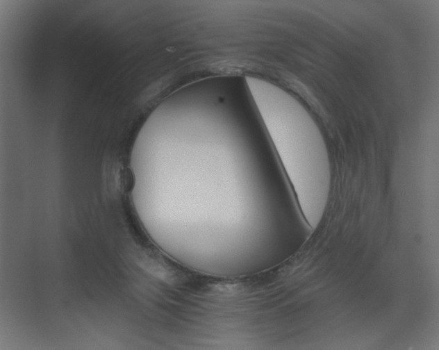 X0000075410071200609081012