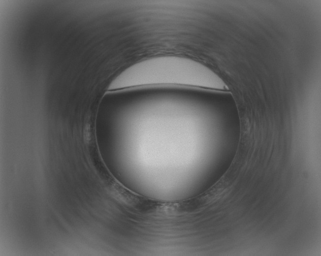 X0000075410080200609081013