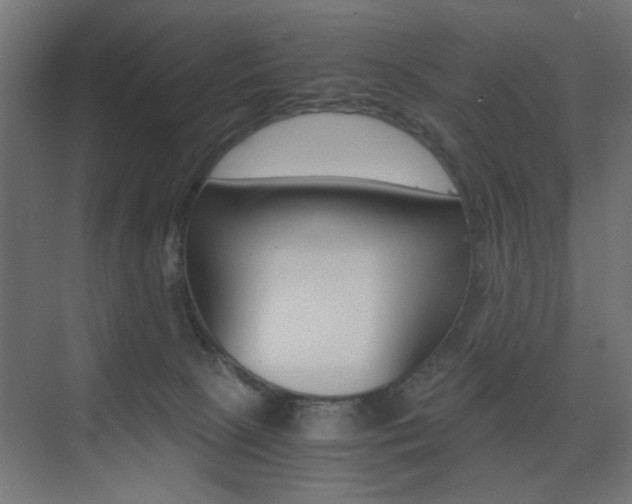 X0000075410081200609081013