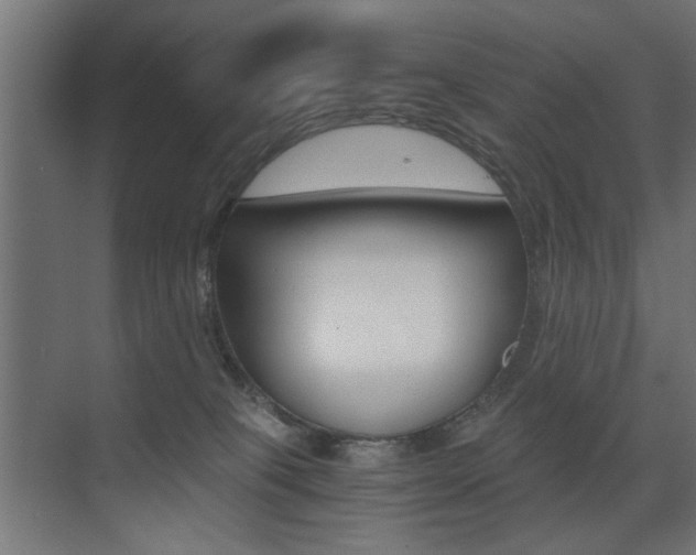 X0000075410085200609081013