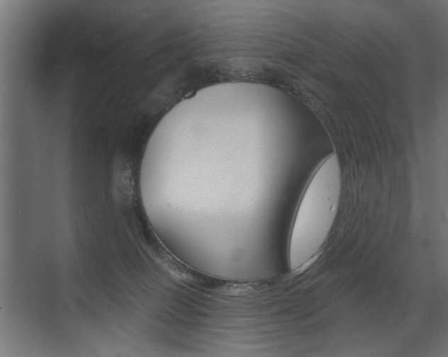 X0000075410086200609081013