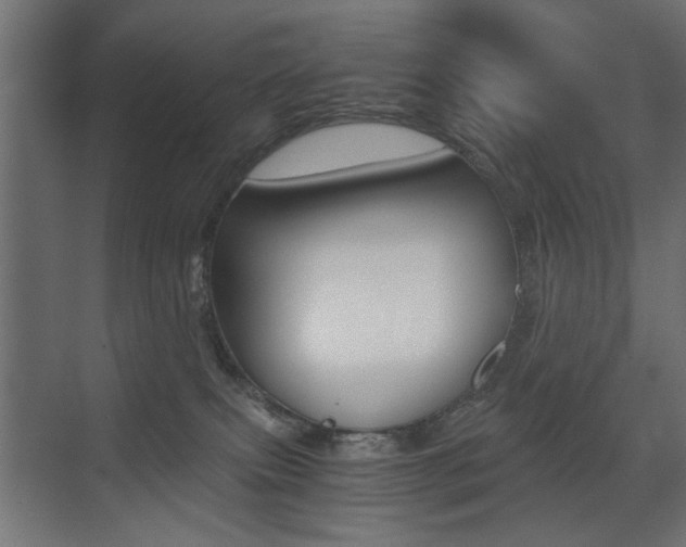 X0000075410087200609081013