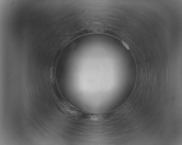 X0000075410088200609081013