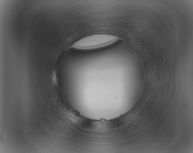 X0000075410089200609081013
