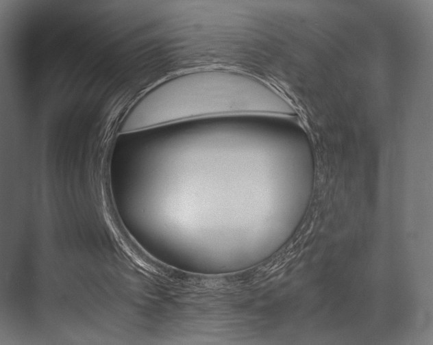 X0000075410097200609081012