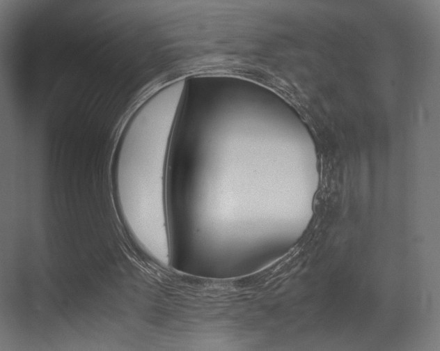 X0000075410099200609081012
