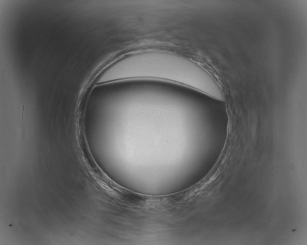 X0000075410101200609081012