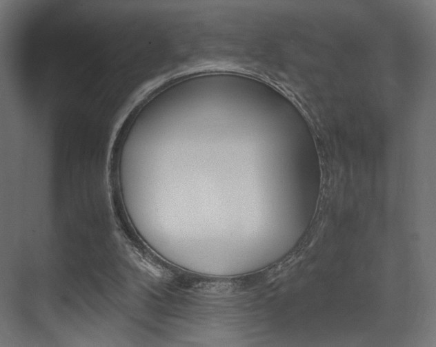 X0000075410104200609081012