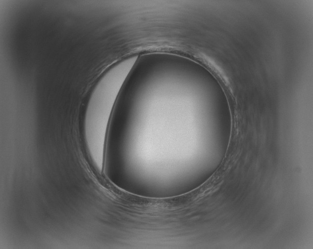 X0000075410105200609081012