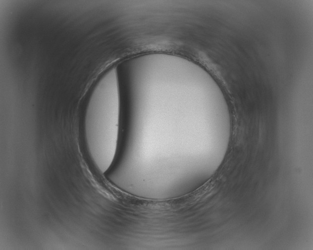 X0000075410106200609081012