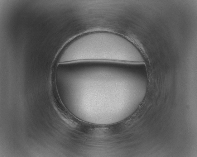 X0000075410108200609081012