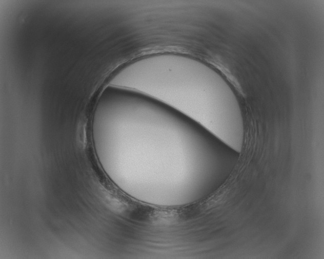 X0000075410110200609081012