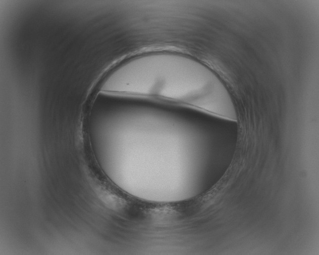 X0000075410112200609081012