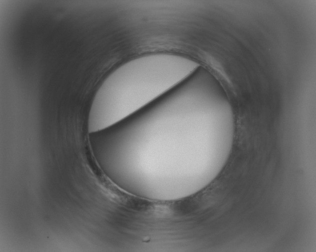 X0000075410114200609081012